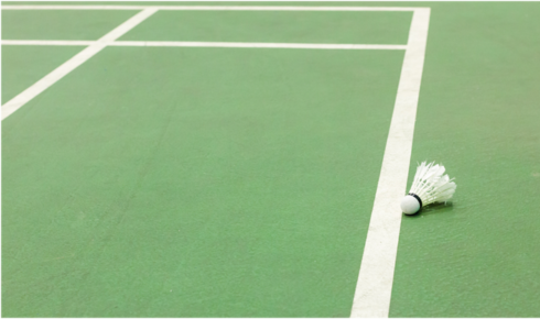 outdoor badminton courts