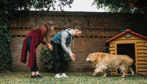 dog obedience training center